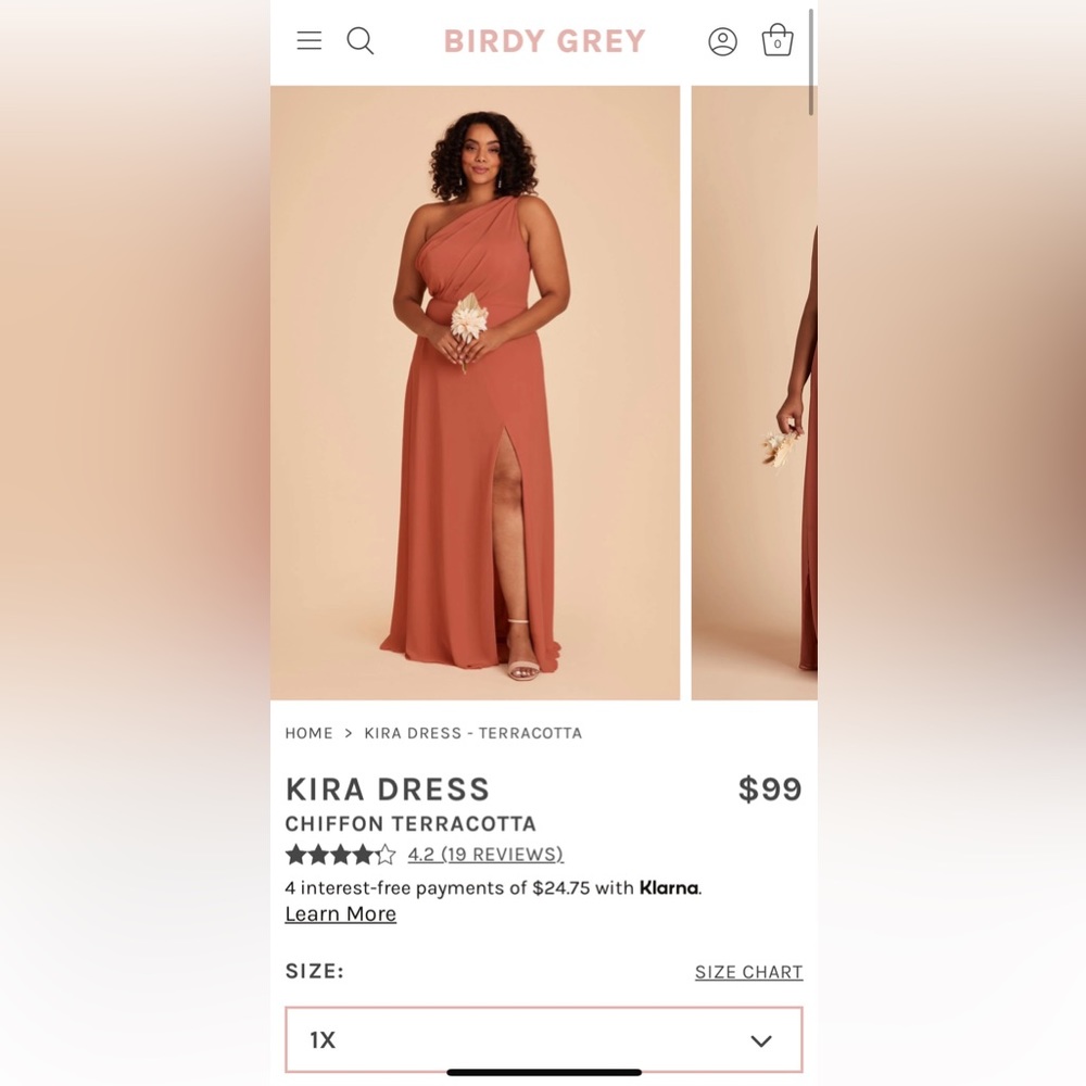 Birdy Grey Kira Dress in Terracotta 1X